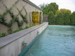 IMG_4835.JPG